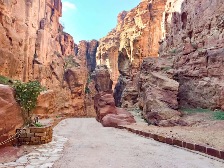 From Tel Aviv: Full-Day Trip to Petra with Roundtrip Flights - Round-trip flights from Tel Aviv: the 14-hour trade-off