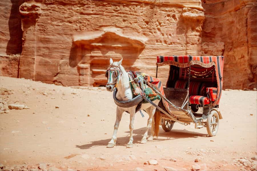 From Tel Aviv: Petra 1-Day Guided Tour with Transfers - Who this Tel Aviv to Petra tour suits best
