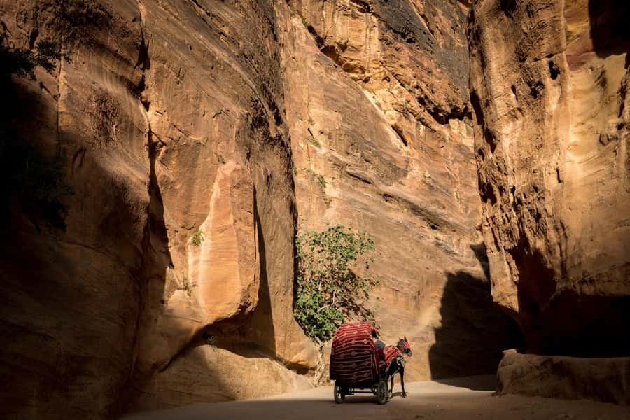 From Tel Aviv: Petra and Wadi Rum 3-Day Tour - FAQ