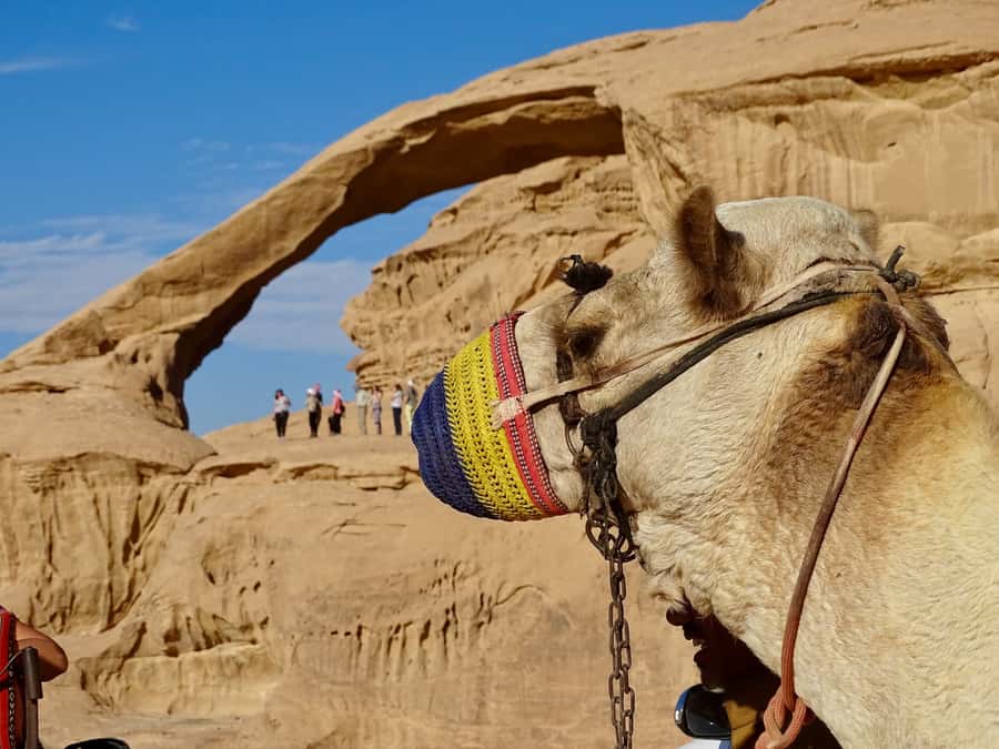 From Tel Aviv: Petra & Wadi Rum Glamping 2-Day Tour - Price and value: what $399 covers, and what adds up