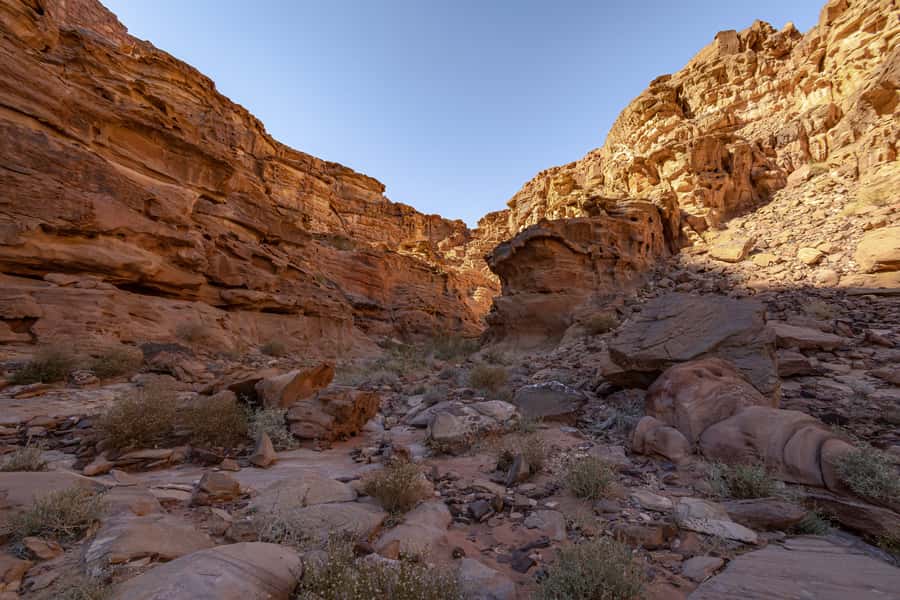 From Wadi Rum: 2-Day Hiking Adventure and Jeep Tour - Key things I think you’ll care about most