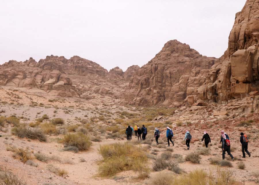 From Wadi Rum: 2-Day Hiking Adventure and Jeep Tour - Desert landmarks you’ll actually have time to notice
