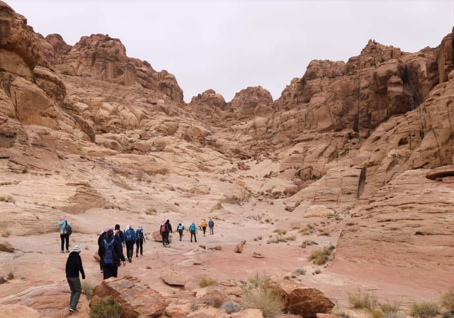 From Wadi Rum: 2-Day Hiking Adventure and Jeep Tour - Al Hash Mountain: the hike that gives the trip its backbone