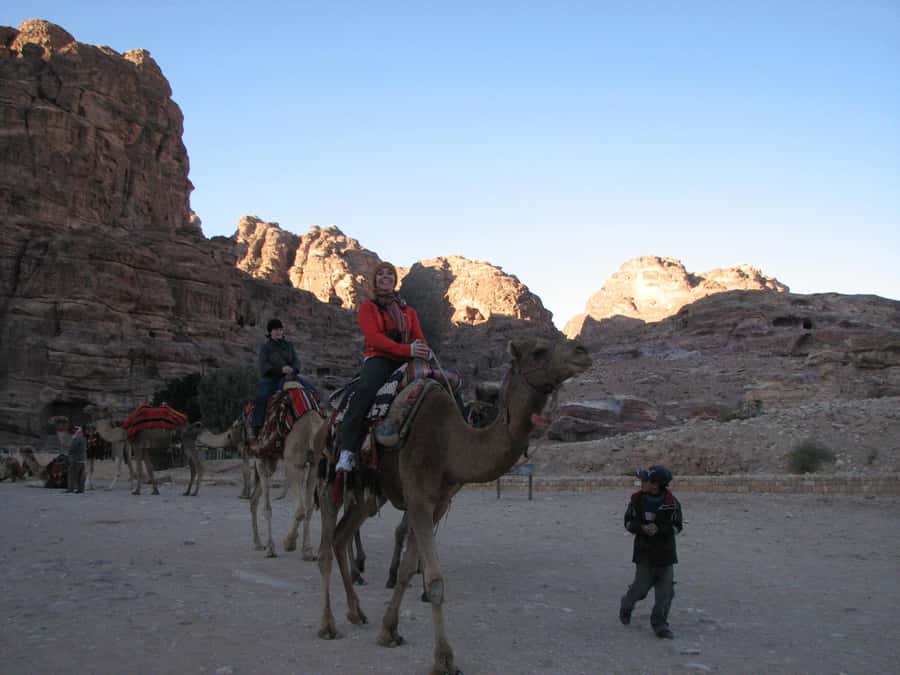 From Wadi Rum: Camel Ride Experience with Tea and Guide - Where the day starts: Wadi Rum Rest House and the Protected Area fee