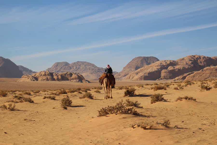 From Wadi Rum: Camel Ride Experience with Tea and Guide - Tea and Bedouin hospitality: where the tour slows down