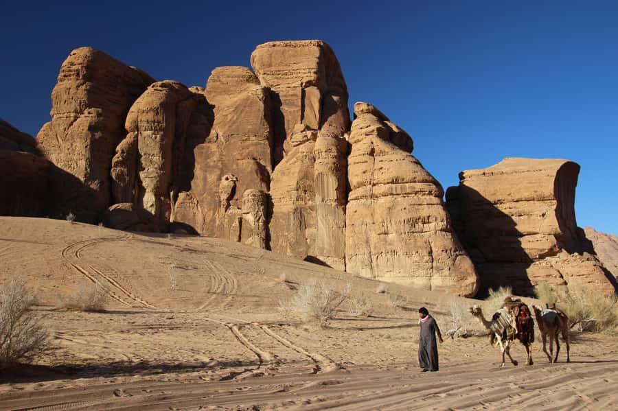 From Wadi Rum: Camel Ride Experience with Tea and Guide - Getting back to the rest house: quick return, clear wrap-up