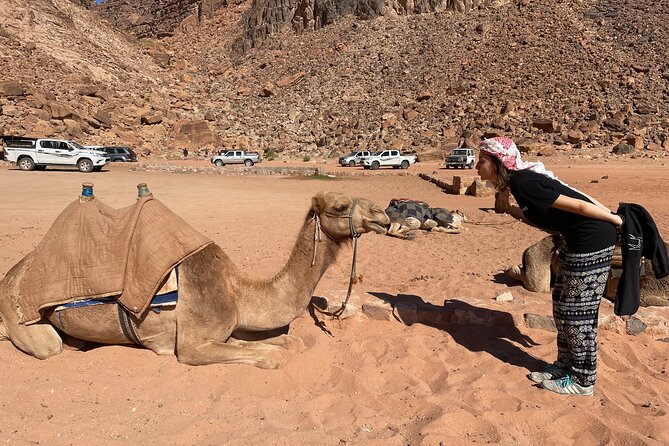 Full Day 4x4 Classic Desert Tour with overnight in private tent - Meals, Water, and Coffee or Tea That Keep the Day Easy