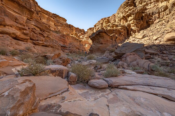 Full-Day 8 Hour Jeep Tour into Wadi Rum Protected Area with Stay - Lawrence’s Spring: When a Famous Story Meets Real Desert Color