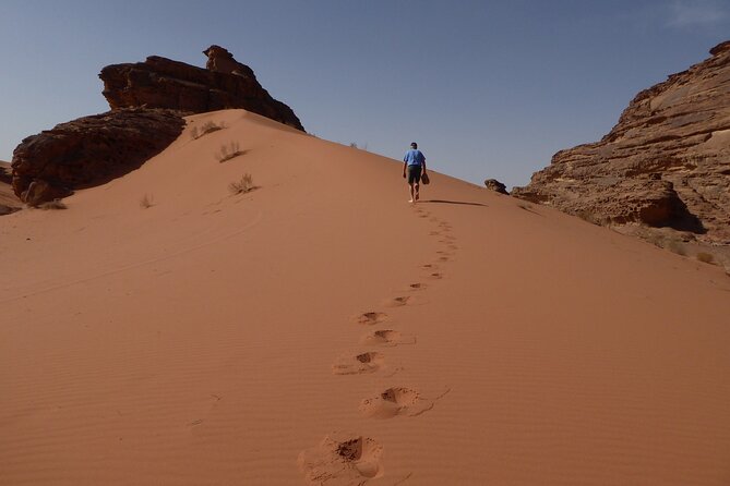 Full-Day 8 Hour Jeep Tour into Wadi Rum Protected Area with Stay - Camp Night at Wadi Rum Quiet Bedouin Village Camp: Comfort With the Real Setting