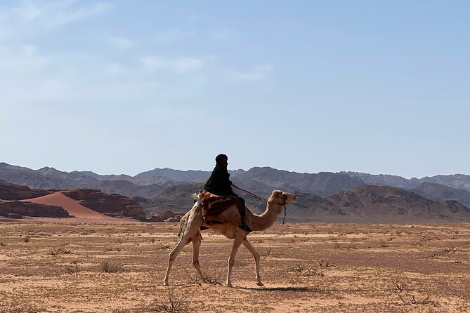 Full-Day Hiking in Wadi Rum's Desert with Lunch - Khazali Canyon Walk and the Old Bedouin Inscriptions
