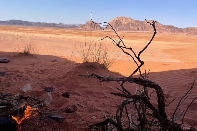 Full-Day Hiking in Wadi Rum's Desert with Lunch - Price, Group Discounts, and What You Get for $70