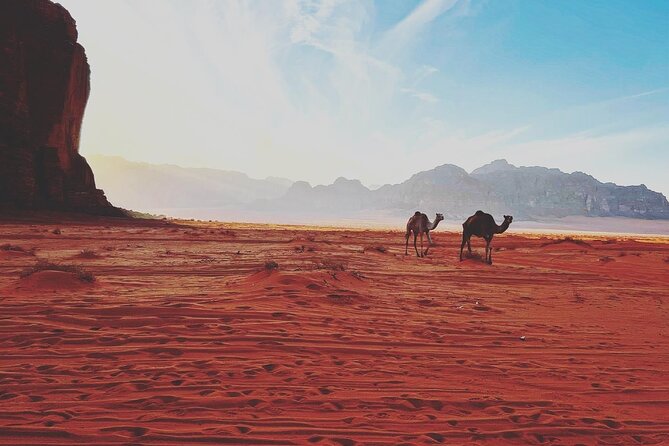 Full Day Jeep and Camel Tour - Stop 4: Mushroom Rock, The Quick Photo You’ll Remember