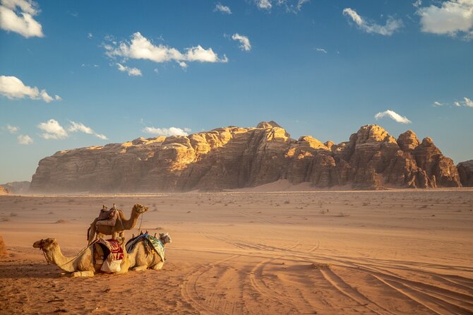 Full-Day Jeep Tour, Wadi Rum Desert Highlights - Mushroom Rock: small scale, big desert character