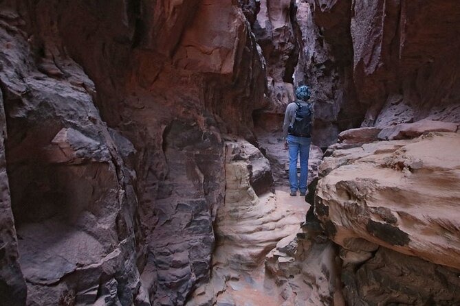 Full-Day Jeep Tour, Wadi Rum Desert Highlights - Lawrence’s Spring and the Fig Tree scramble