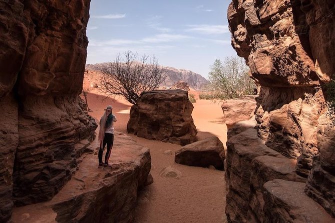 Full Day Jeep Tour with Overnight in beduin Camp Stay! (All Meals Included) - Sunset Viewpoint tea and the Bedouin camp night
