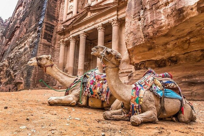 Full Day Petra and Wadi Rum Tour from Amman - Wadi Rum 4x4 safari: petroglyphs, sandstone mountains, and the sunset
