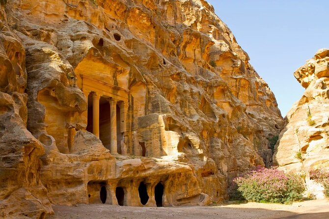Full Day Petra and Wadi Rum Tour from Amman - Meet your driver and how safety and comfort are handled