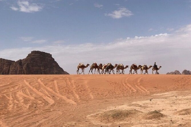 Full-Day Private Tour in Petra with Hotel Pick-Up - Street of Facades, Roman Theater, and Royal Tombs