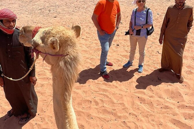 Full Day Tour Petra and Wadi Rum from Amman - What’s not included, and how to prep without surprises