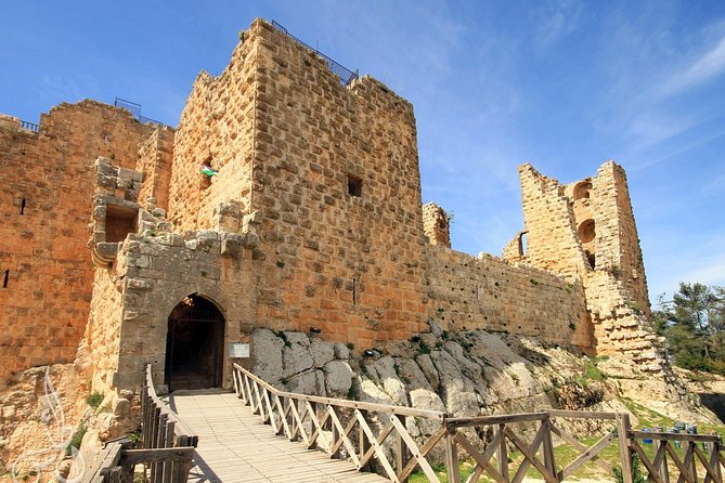 Full-Day Tour: Umm Qais, Jerash, and Ajloun from Amman - Price and logistics: what $89 really covers