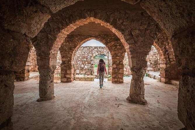 Full Day Umm Qais, Ajloun & Jerash - What the Ride Feels Like, WiFi Works, and How to Manage Expectations