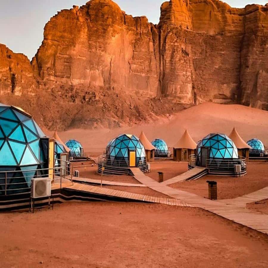 Full-Days Tours Petra from Amman - Who this Petra day trip is best for