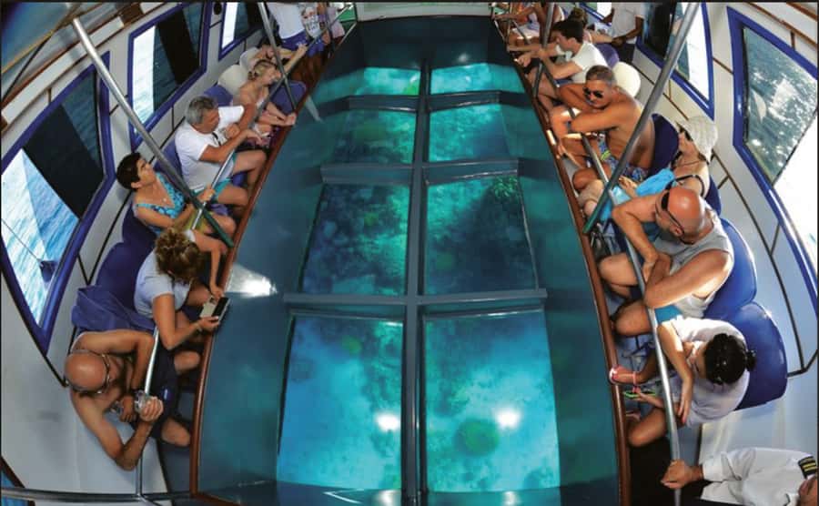 Glass Boat & Snorkeling with day use of Berenice Beach Club - Key things to know before you go