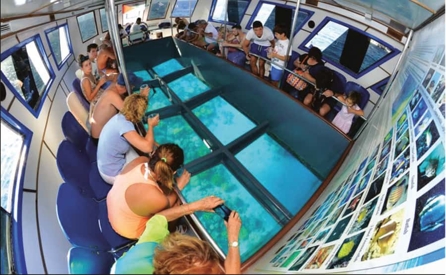 Glass Boat & Snorkeling with day use of Berenice Beach Club - Red Sea views from the glass boat, then a real beach-club reset