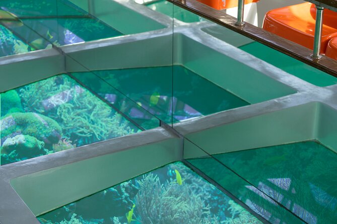 Glass-Bottom Boat 2-hours Tour and Coral-Reef Viewing from Aqaba - Getting the best views: small choices that change everything