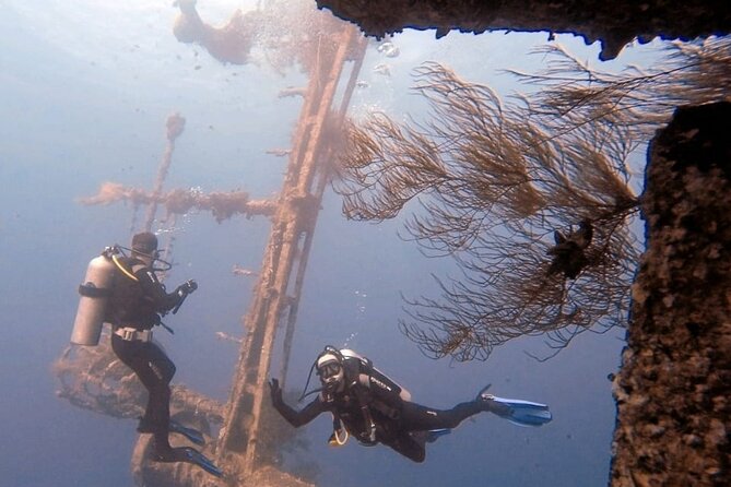 Guided Scuba Diving Adventure in Aqaba - Key Things I’d Watch Before You Go