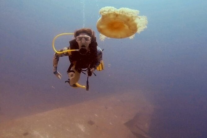 Guided Scuba Diving Adventure in Aqaba - Beginner Training and Neutral Buoyancy: How They Help You Stay Calm
