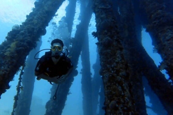 Guided Scuba Diving Adventure in Aqaba - Coral Reef Viewing: What the Guide Does When You Are Underwater