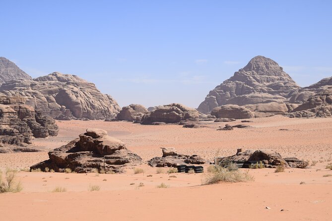 Half day Jeep and camel tour No stay - Wadi Rum in four hours: what this half-day loop really delivers