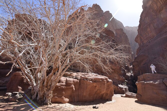 Half day Jeep and camel tour No stay - Who should book this jeep, camel, and canyon mix