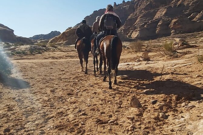 Half-Day Private Indiana Jones Petra Back Road Trial Tour - Starting at Petra Visitors Center and riding the backroads