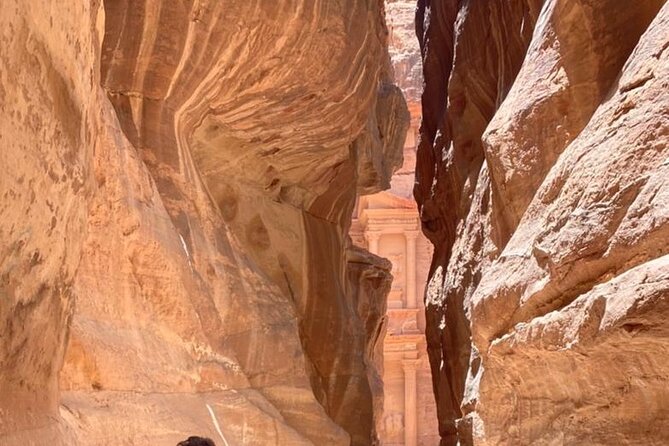 Half Day Tour to the Wonderful City of Petra - Booking Tip: Think Tickets and Weather First