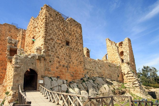 Jerash, Ajloun, and Umm Quais Full-Day Tour - Stop 1: Jerash Ruins, the Roman City That Feels Oversized