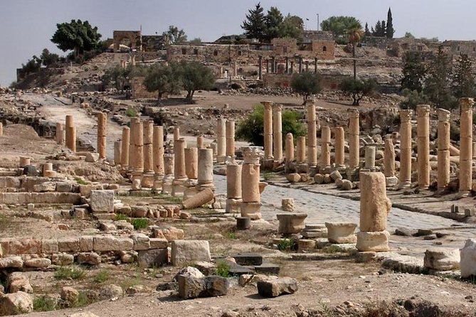 Jerash, Ajloun, and Umm Quais Full-Day Tour - Stop 2: Ajloun Castle and Salah al-Din’s Fortress Walls
