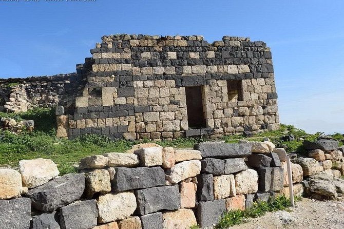 Jerash, Ajloun, and Umm Quais Full-Day Tour - Self-Guide vs Local Guide: How to Choose Without Overthinking