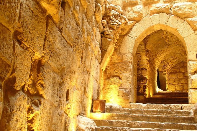 Jerash, Ajloun, Umm Qais Day Trip - Jerash Ruins: walking a Roman city that still holds shape