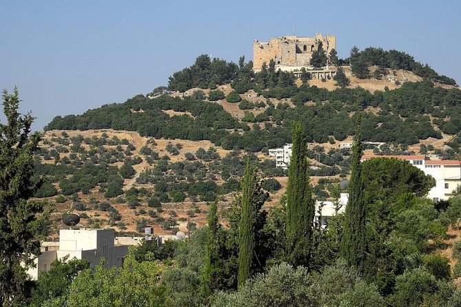 Jerash, Ajloun, Umm Qais Day Trip - Umm Qais: Gadara ruins, three-country views, and optional guidance