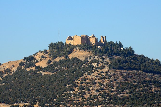 Jerash, Ajloun, Umm Qais Day Trip - Food, breaks, and keeping the day comfortable