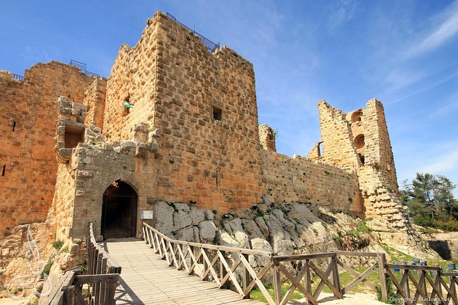 Jerash, Ajloun, Umm Qais Day Trip - Price and what you really get for $62