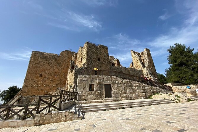 Jerash and Ajloun Castle Full day Tour - Price and What You Get for $95 Plus Entrance Fees