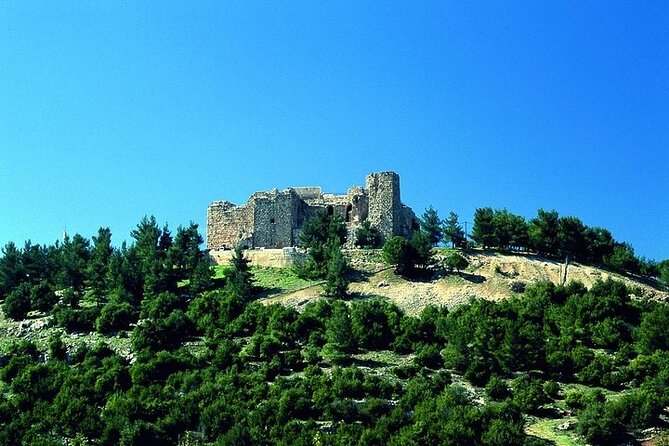 Jerash and Ajloun Castle Full day Tour - Wi-Fi on Board: A Small Feature That Saves Big Hassle