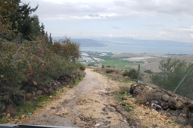 Jerash, Umm Qais, Cave of Jesus From Amman - How the ride details make or break a long day