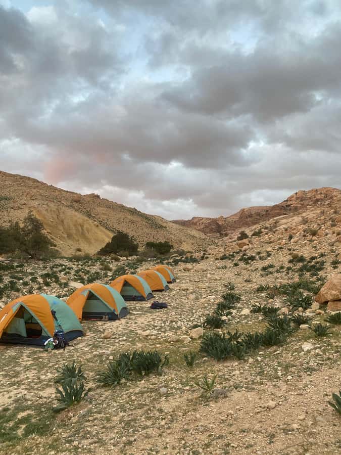 Jordan Trail: Dana to Petra 4-Day Trekking Tour - Who this Dana to Petra trek suits best