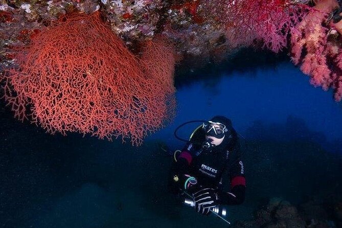 Journey of Diving or Snorkelling from a Boat - What you actually do on the boat: snorkeling, scuba, and downtime