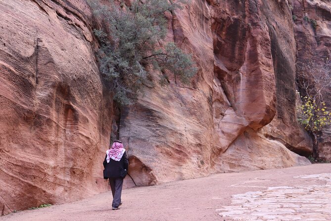 Literary tourism experience in Petra - Price and what $300 per group really buys you