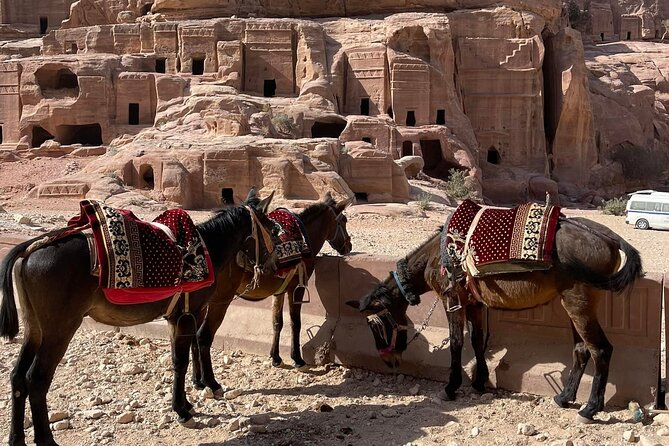 Nabatean Nights Stay in Petra Jordan - Bedouin Village with Tour - Mule rides to the High Place of Sacrifice and the Monastery